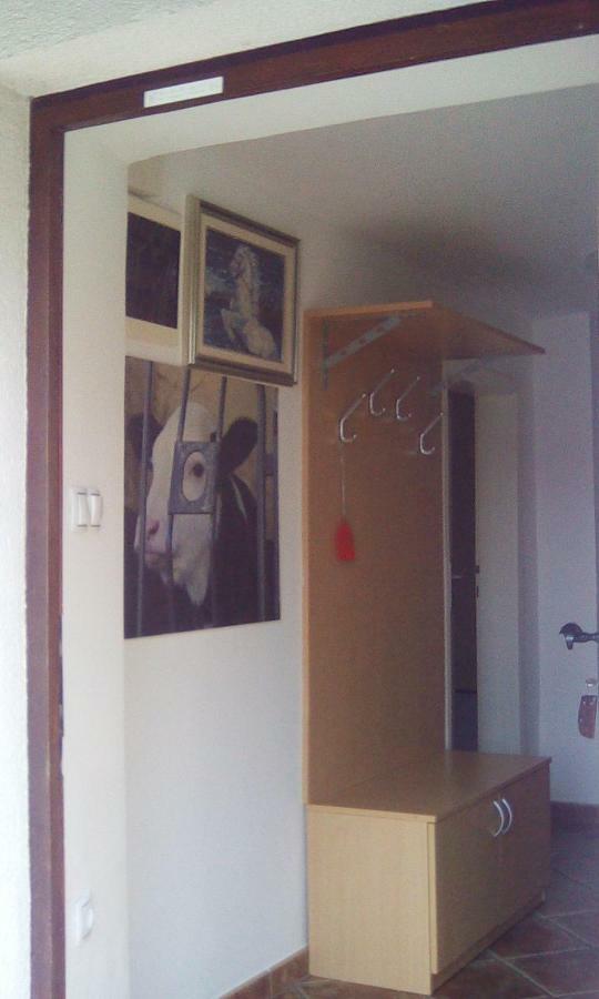 Apartma Pr' Vok Лесце Екстер'єр фото